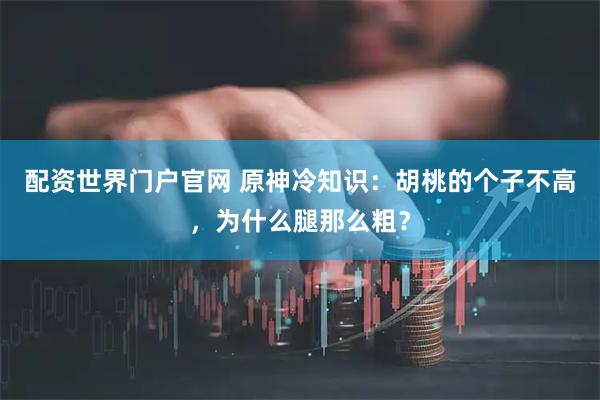 配资世界门户官网 原神冷知识：胡桃的个子不高，为什么腿那么粗？