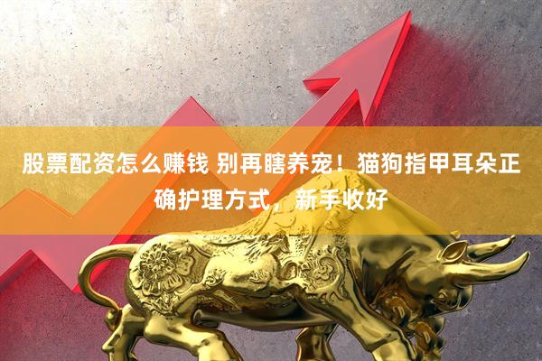 股票配资怎么赚钱 别再瞎养宠！猫狗指甲耳朵正确护理方式，新手收好