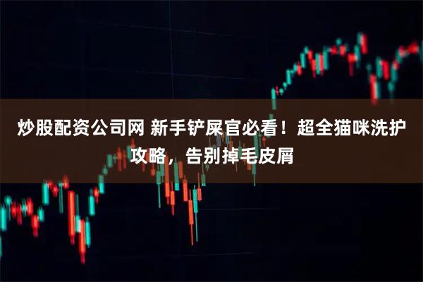 炒股配资公司网 新手铲屎官必看!超全猫咪洗护攻略,告别掉毛皮屑